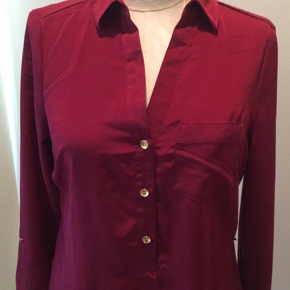 The Limited Button Down Long Sleeve Shift Dress - Picture 2 of 3